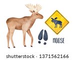 Moose Drawing Collection With...