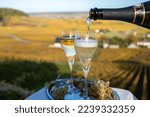 Tasting of french sparkling white wine with bubbles champagne on outdoor terrace with view on colorful grand cru Champagne vineyards in village Cramant in October, near Epernay, France