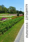 Small photo of An autumn picture of the RaceCourse Jilani Park with colorful blossom flowers is a good choice for a background.