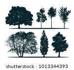 tree silhouettes   green oak ... | Shutterstock .eps vector #1013344393