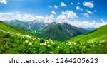 Amazing mountain landscape in Georgia on sunny summer day. Alpine green meadow in Caucasus highlands. Idyllic valley in Svaneti mountains.