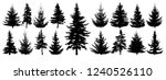 forest trees set. isolated... | Shutterstock .eps vector #1240526110