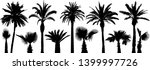palm tropical trees. silhouette ... | Shutterstock .eps vector #1399997726