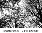 background of branches trees... | Shutterstock .eps vector #2141120539