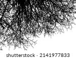 background of branch tree... | Shutterstock .eps vector #2141977833