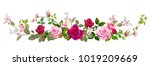 panoramic view  bouquet of... | Shutterstock .eps vector #1019209669