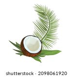 split coconut  half of nut  on... | Shutterstock .eps vector #2098061920