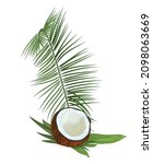 split coconut  half of nut  on... | Shutterstock .eps vector #2098063669
