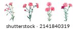 panoramic view with carnation... | Shutterstock .eps vector #2141840319