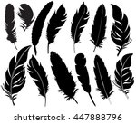 Vector  Isolated Feathers...