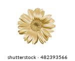  Gold Flower On A White...