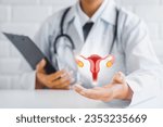 Small photo of Healthy feminine concept . doctor holding virtual uterus reproductive system , woman health, PCOS, ovary gynecologic and cervix cancer Gynecological care.