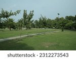 Small photo of Jilani Public Park in Lahore, Punjab, Pakistan on Jail road 25-May-2023