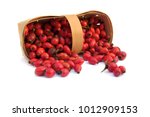 Basket Full Of Red Dogroses...