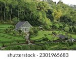 Small photo of ricefield view and great architecture that u can see at morning if u stay at le eminence hotel puncak bogor indonesia