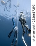 Small photo of Panglao, Philippines - 06.12.2023: Freediving athlete is ascending coming up surrounded by safety divers during AIDA Asian Freediving Cup 2023 depth competition.