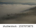nice fog, the pine forest in the mist, the sun cross the moutain in Da Lat