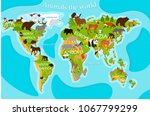 vector map of animals on a blue ... | Shutterstock .eps vector #1067799299