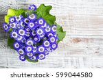 Blue Flowers On The Table In...