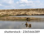 Lake with island and tree stump - rocky cliff with sedimentary layers - calm water and blue sky with clouds