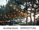 Small photo of Decorative outdoor string lights hanging on tree in the garden at night time