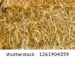 Texture Of The Dry Hay For...
