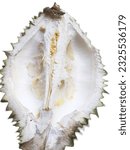 Small photo of shows a truncated durian, against a white background