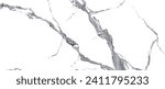 Small photo of white marble with darken veins and streaks high resolution for ceramic tiles and wall pattern