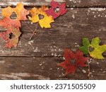Colorful maple leaves with...
