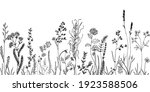 sketch weeds  herbal  flowers... | Shutterstock .eps vector #1923588506