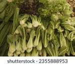 Small photo of The various fresh green vetgetables in the front of me when I went to the local marget to get them for my mom cooking at evening