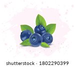 Set Of Few Blue Berries Vector...