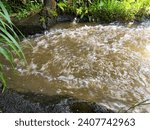 Small photo of Swirls and streams of turbid water from irrigation discharge