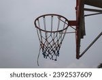Small photo of Hoops Horizon: Embracing the Thrill of Basketball with a Sturdy Hoop