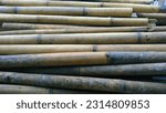 Small photo of look at this bamboo, this bamboo is for building houses, bamboo in Indonesian, namely the Javanese regional language, is pring