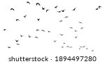 Silhouettes Of A Flock Of...
