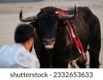 Small photo of the bullfighter Fco. Jose Espada during the bullfight of Corrida de Toros in the Plaza de las Ventas in Madrid, Jule 16, 2023 Spain