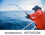 Sea Fishing With Spinning