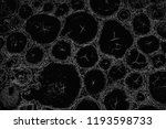abstract background. monochrome ... | Shutterstock . vector #1193598733