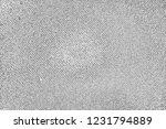 abstract background. monochrome ... | Shutterstock . vector #1231794889