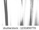 abstract background. monochrome ... | Shutterstock . vector #1231850770