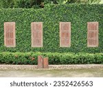 Wood window covered with green ivy wall