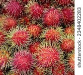 Small photo of Hair of rambutan is an adaptation of rambutan. from making their own fruit look unappetizing create hairs all over the fruit to protect the fragile seeds and avoid being eaten by animals