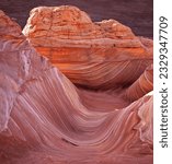 Small photo of Bush in golden canyon, Elastic , Pink Wave, Reflected evening light on the Wave, North Coyote Buttes; Sinuosity, North Coyote Buttes The Wave, Coyote Buttes, Golden Canyon; The Wave, Coyote; Butte