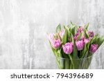 bunch of purple tulips on light gray. spring flowers, grown in Holland