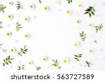 Frame of chamomiles, branches, leaves and lilac petals on white background. Flat lay, top view