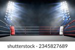 Boxing ring with illumination...
