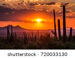 Tucson  Arizona