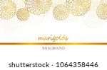 Vector White Banner With Golden ...