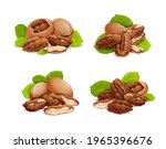 Pecan Nut Compositions Set ...
